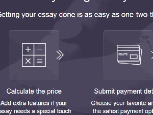 Looking essay writing help?