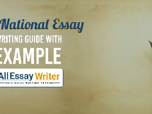All Essay Writer